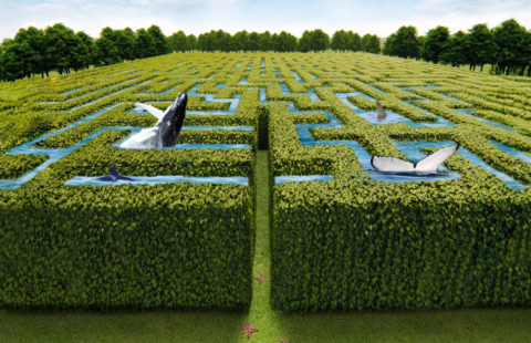 Nantes Aventures labyrinthe ouverture