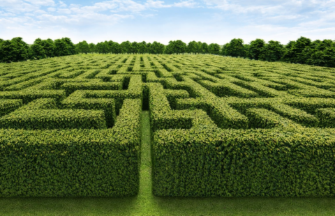 Labyrinthe extérieur à Nantes – jeu de piste famille et énigmes Renaissance chez Nantes Aventures